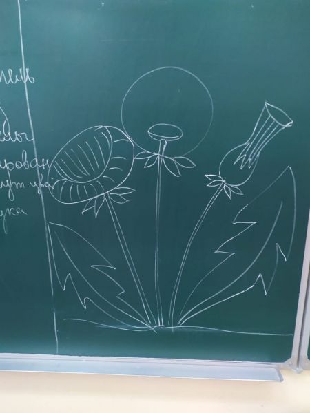 В нашем пришкольном лагере работают кружки Центра развития..