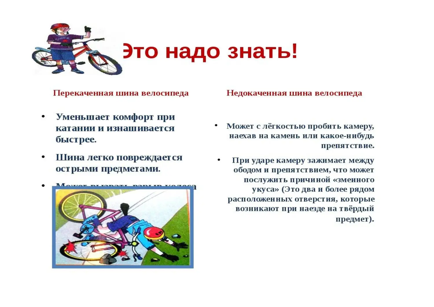 Безопасность на дороге Безопасность на дороге