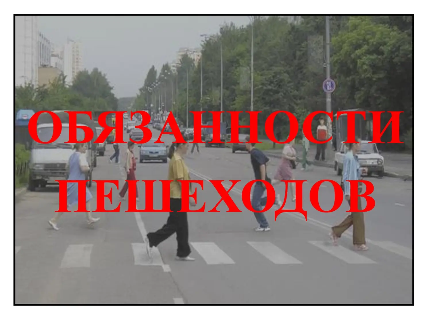 Безопасность на дороге Безопасность на дороге