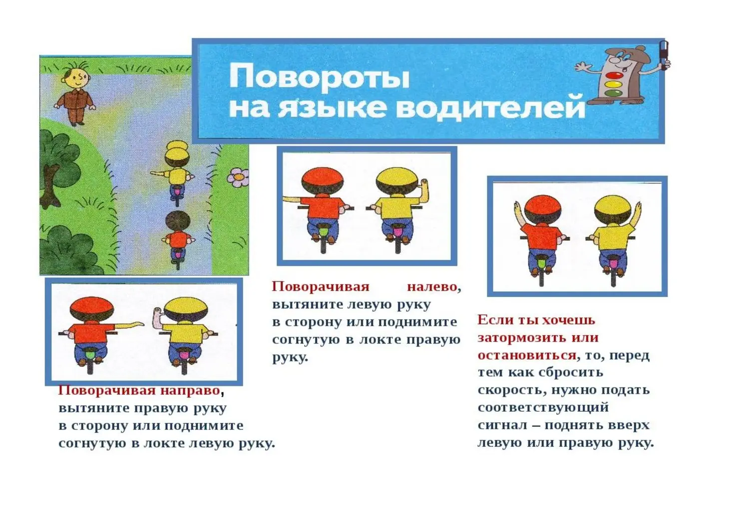 Безопасность на дороге Безопасность на дороге