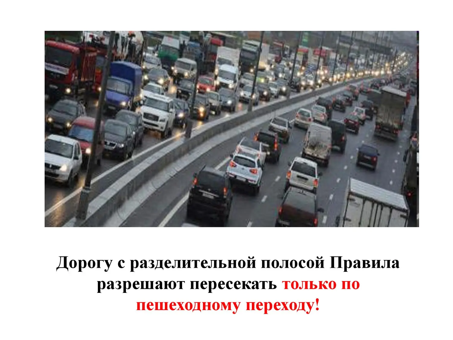 Безопасность на дороге Безопасность на дороге