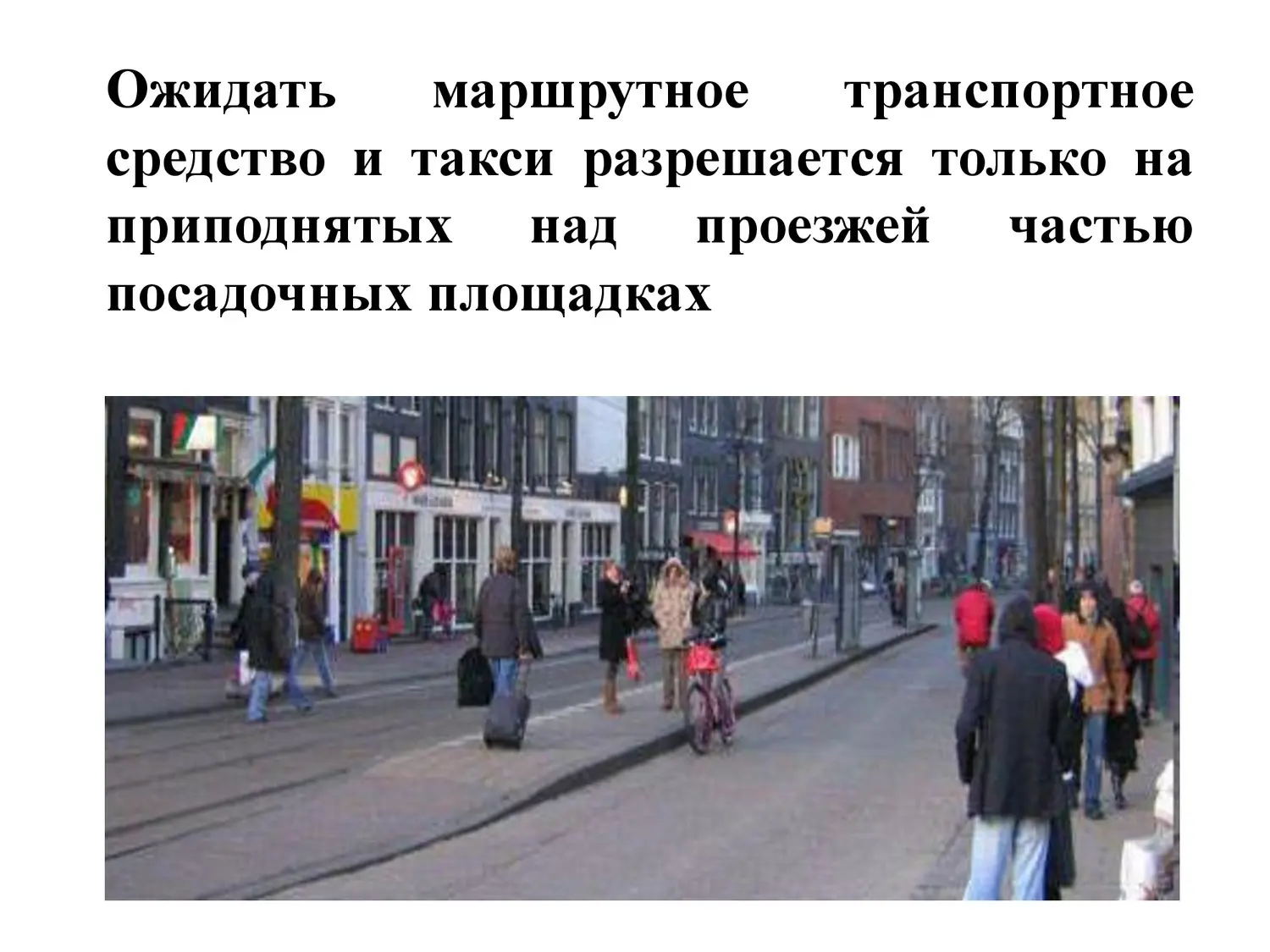 Безопасность на дороге Безопасность на дороге