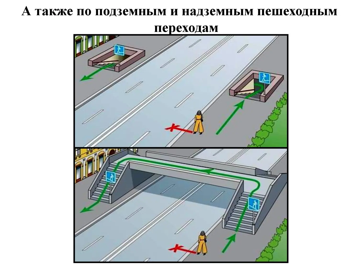 Безопасность на дороге Безопасность на дороге