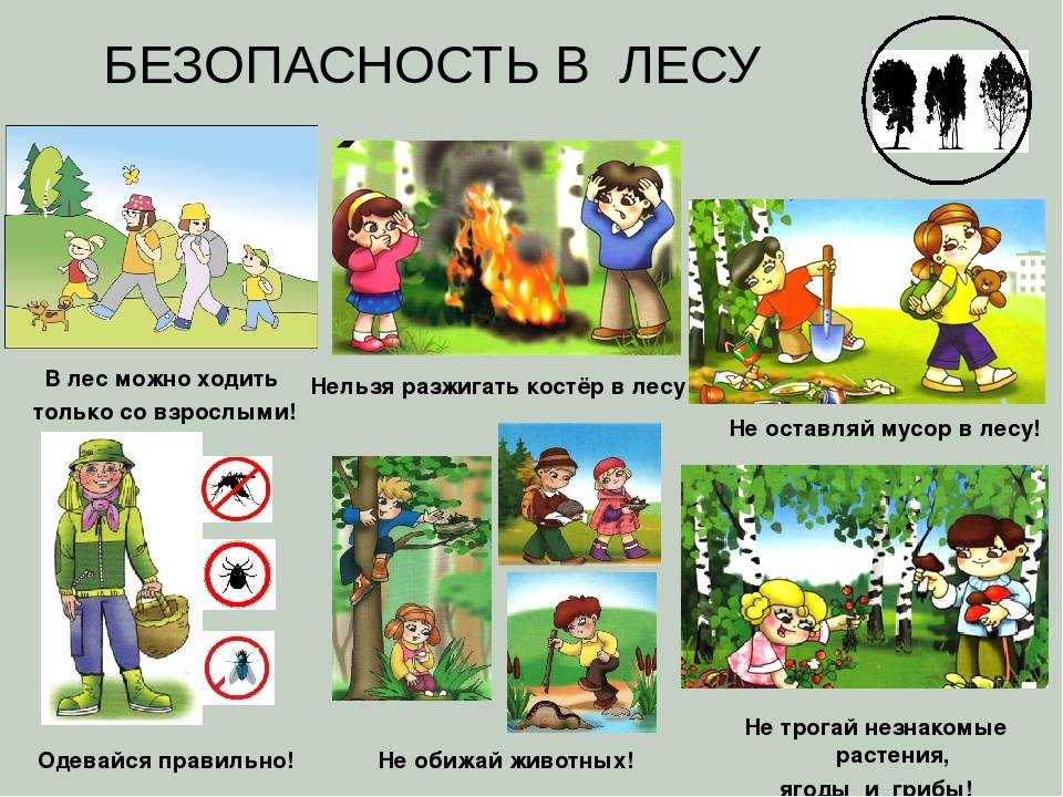 Правила безопасности