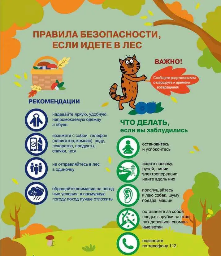 Правила безопасности