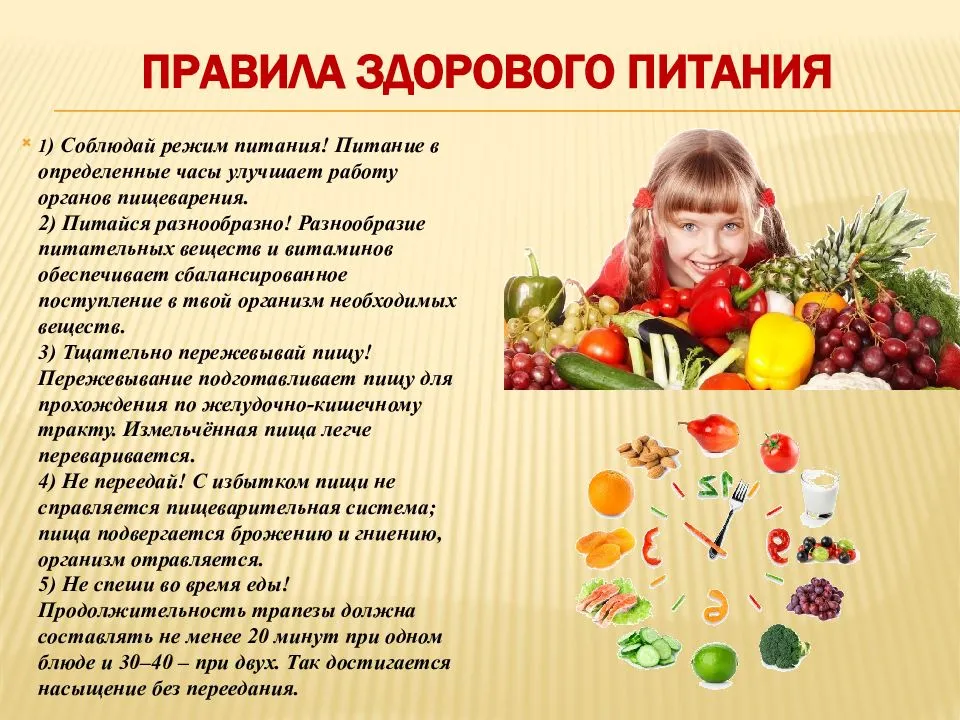 Организация питания в образовательной организации