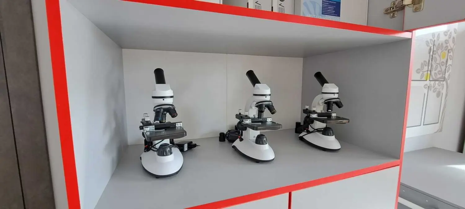 Общая информация