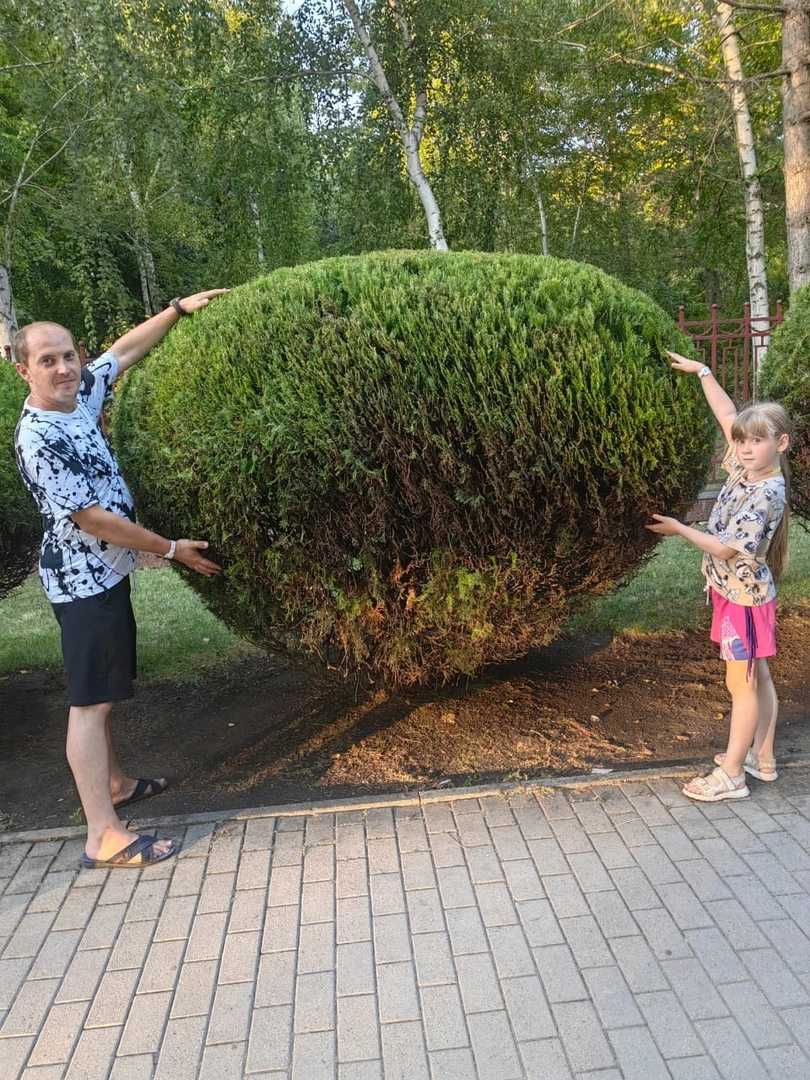 📸 Акция «Вместе с папой»